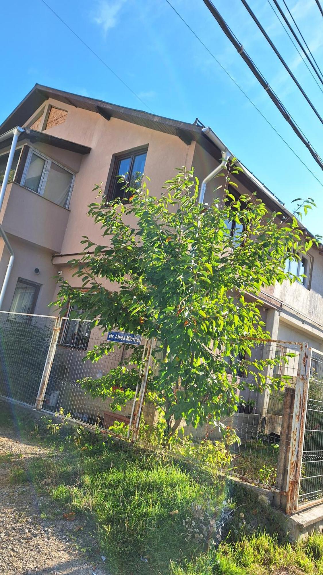 Casa Antonia Azuga Exterior foto